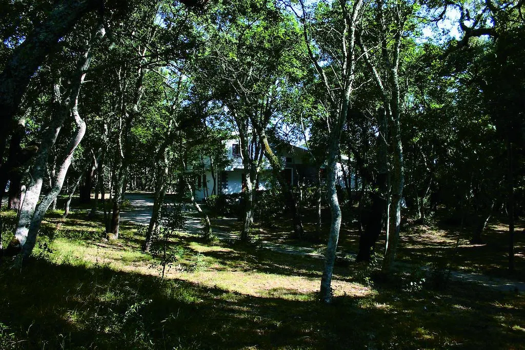 Bed and Breakfast Conca Marina Tempio Pausania
